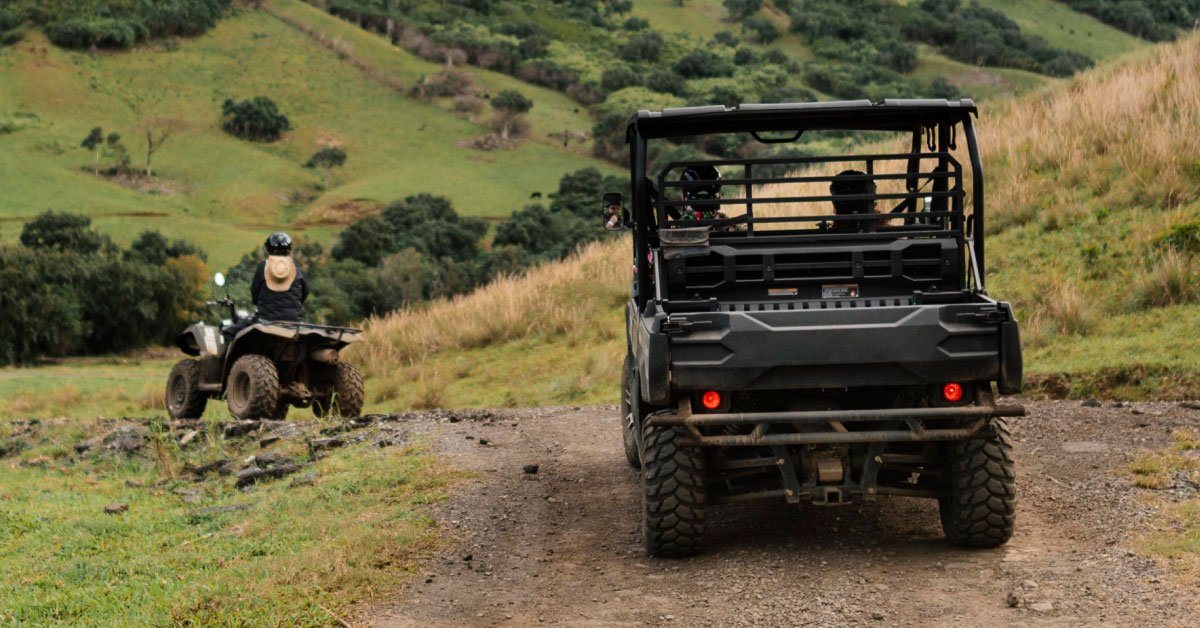 Jungle Safari